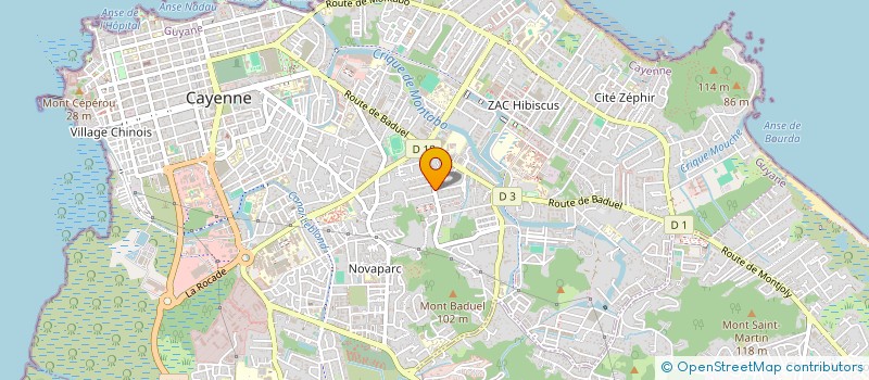 localisation de l'entreprise MONSIEUR WOODLY SAINT FLEUR  CAYENNE