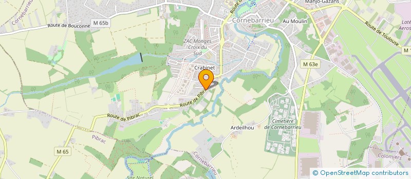 localisation de l'entreprise MONSIEUR WOODSON JUSTE  CORNEBARRIEU