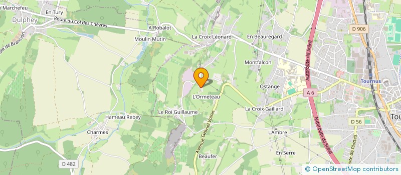 localisation de l'entreprise MONSIEUR WOUTER MICHON  TOURNUS