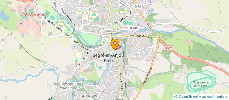 localisation de l'entreprise MONSIEUR WYLSON IEVE  SEGRE-EN-ANJOU BLEU