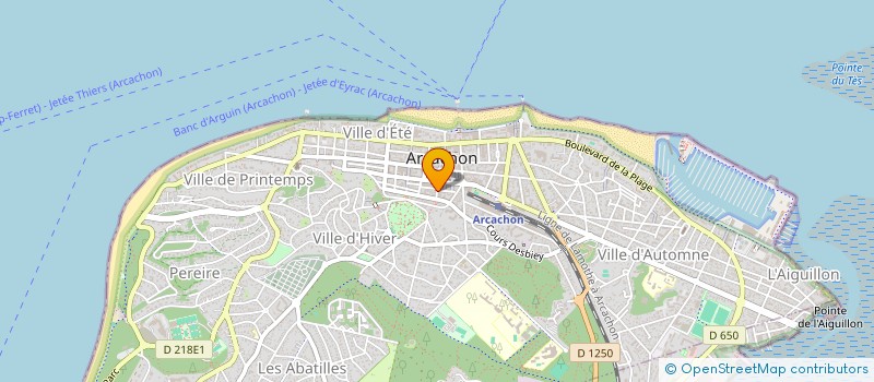 localisation de l'entreprise MONSIEUR XAVIER BENAVIDES  ARCACHON