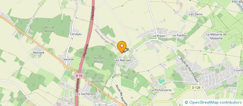 localisation de l'entreprise MONSIEUR XAVIER BODENSCHATZ  SAINT-GEORGES-DES-COTEAUX