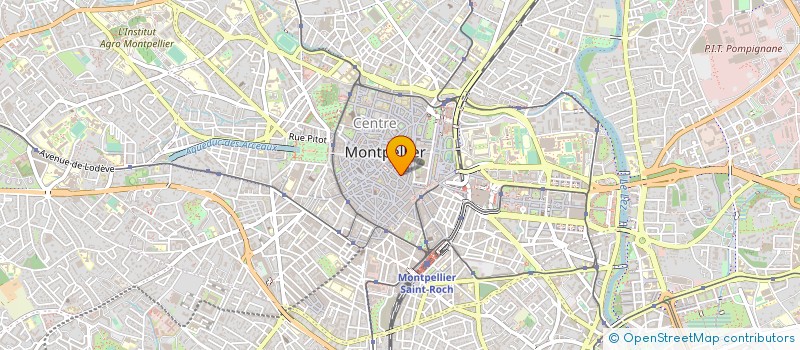 localisation de l'entreprise MONSIEUR XAVIER CHAVIGNE à MONTPELLIER