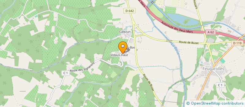 localisation de l'entreprise MONSIEUR XAVIER CHIODIN  VIANNE