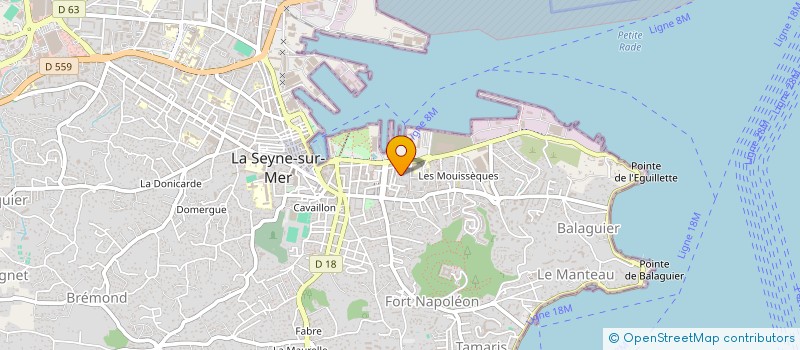 localisation de l'entreprise MONSIEUR XAVIER COMBES à LA SEYNE-SUR-MER