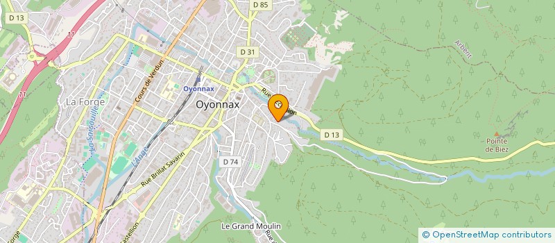 localisation de l'entreprise MONSIEUR XAVIER DAZZI à OYONNAX