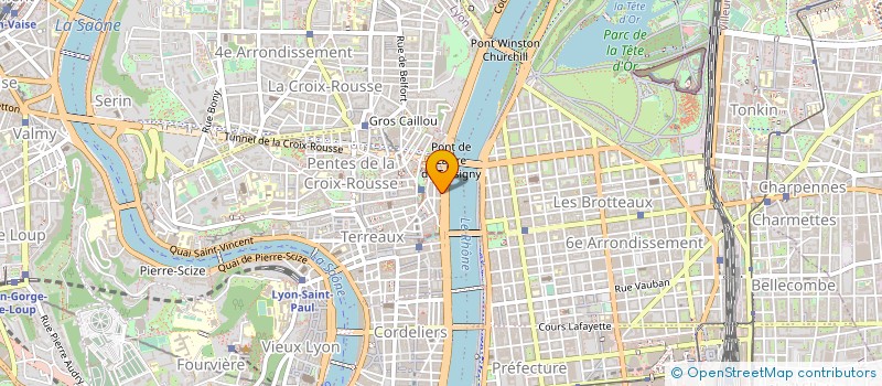 localisation de l'entreprise MONSIEUR XAVIER DELSOL à LYON