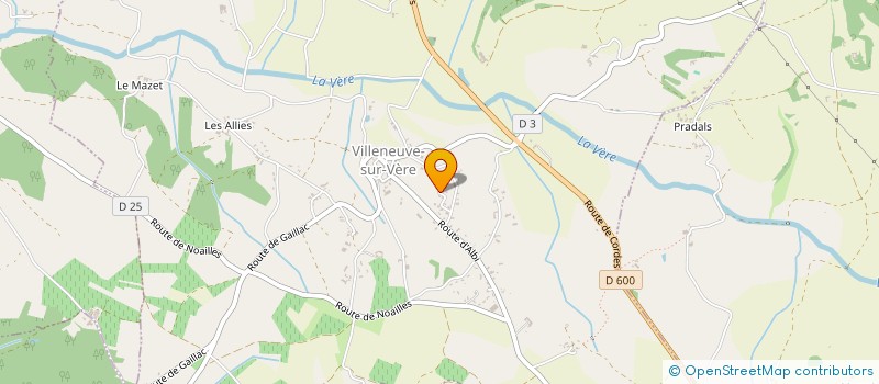 localisation de l'entreprise MONSIEUR XAVIER FALGUIERE  VILLENEUVE-SUR-VERE