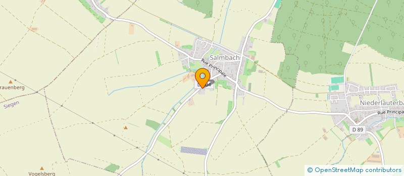 localisation de l'entreprise MONSIEUR XAVIER FORSTER  SALMBACH