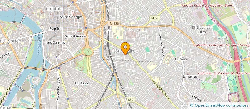 localisation de l'entreprise MONSIEUR XAVIER LASVENES  TOULOUSE