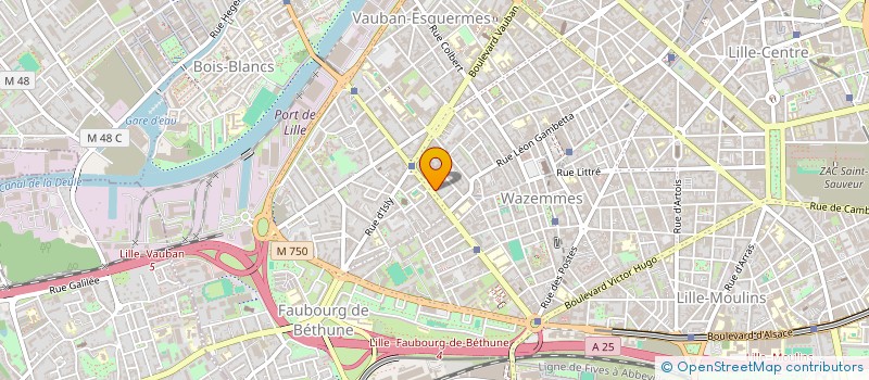localisation de l'entreprise MONSIEUR XAVIER LEFRANC à LILLE