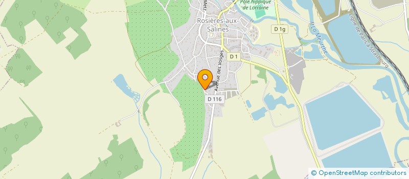 localisation de l'entreprise MONSIEUR XAVIER MANGEMATIN  ROSIERES-AUX-SALINES