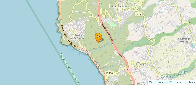 localisation de l'entreprise MONSIEUR XAVIER MARC GEORGES PUJOL  SAINT-LEU