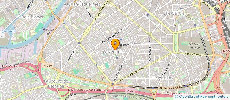 localisation de l'entreprise MONSIEUR XAVIER MOSAMOYOLITI à LILLE