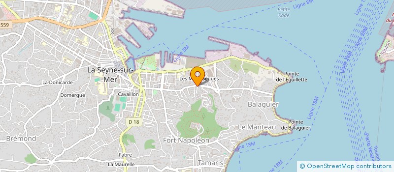 localisation de l'entreprise MONSIEUR XAVIER NATALI  LA SEYNE-SUR-MER