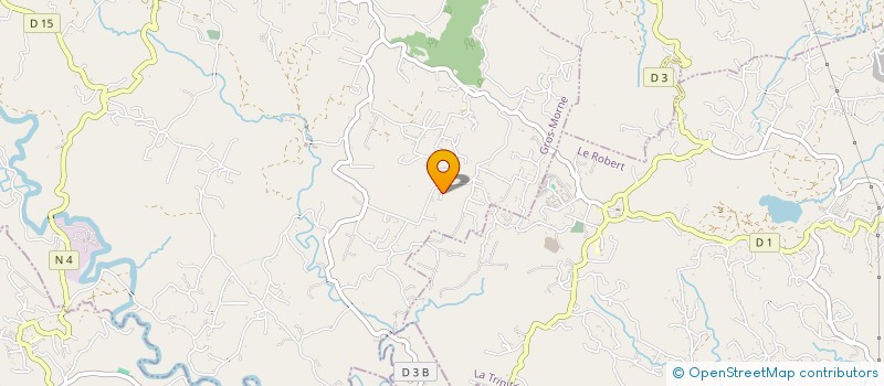 localisation de l'entreprise MONSIEUR XAVIER PAVY  GROS-MORNE