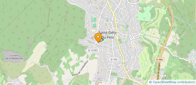 localisation de l'entreprise MONSIEUR XAVIER RIGAUD-FALLOT  SAINT-GELY-DU-FESC