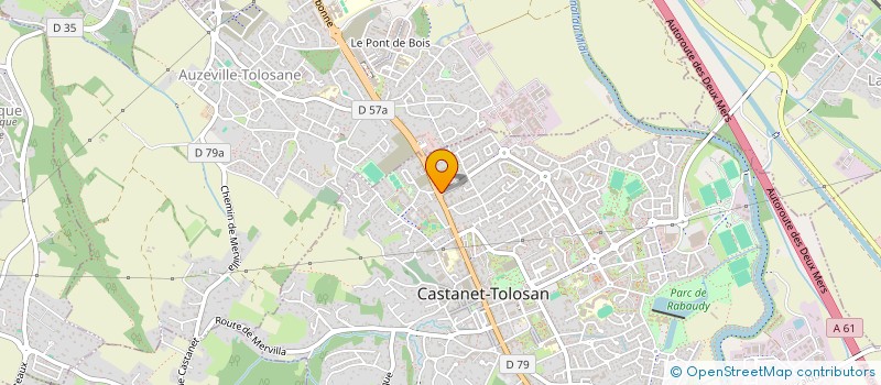 localisation de l'entreprise MONSIEUR XAVIER SELEUCIDE  CASTANET-TOLOSAN