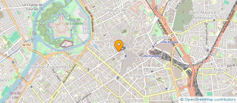 localisation de l'entreprise MONSIEUR YAEL NYAMSI  LILLE