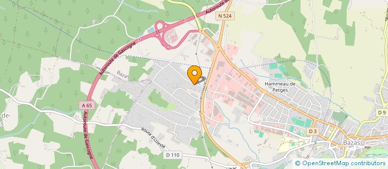 localisation de l'entreprise MONSIEUR YAEL PUJOS  BAZAS