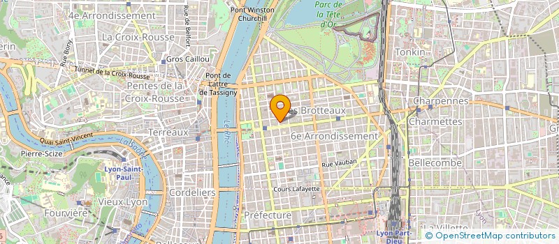 localisation de l'entreprise MONSIEUR YAGO LOURIDO Y ALVAREZ  LYON