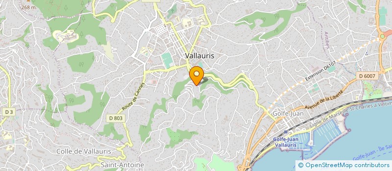 localisation de l'entreprise MONSIEUR YAN VIGIOLA à VALLAURIS
