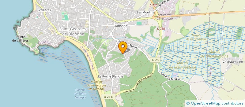 localisation de l'entreprise MONSIEUR YANE GRANGER  SAINT-GEORGES-DE-DIDONNE