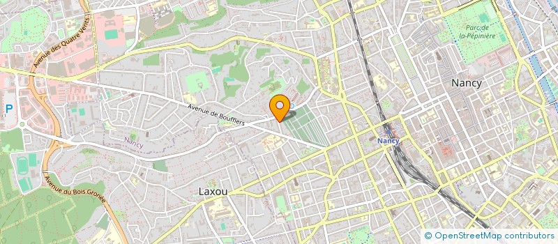 localisation de l'entreprise MONSIEUR YANIS AYARI  NANCY