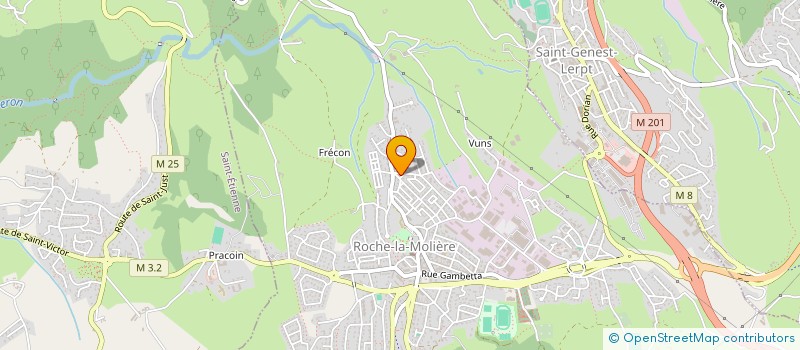 localisation de l'entreprise MONSIEUR YANIS BAVUSO  ROCHE-LA-MOLIERE