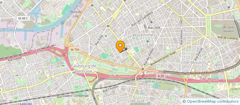 localisation de l'entreprise MONSIEUR YANIS BENDJELLOUL à LILLE