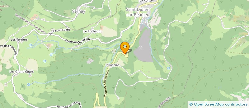 localisation de l'entreprise MONSIEUR YANIS BOCHIT  SAINT-DIDIER-SUR-BEAUJEU