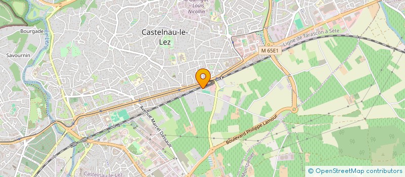 localisation de l'entreprise MONSIEUR YANIS BOISAN à CASTELNAU-LE-LEZ