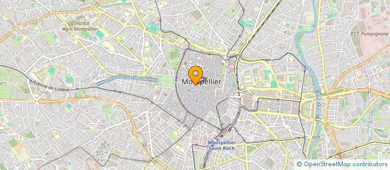 localisation de l'entreprise MONSIEUR YANIS LEDUC à MONTPELLIER