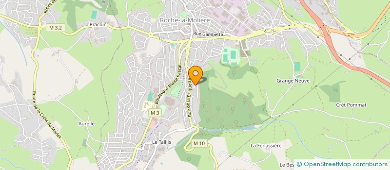 localisation de l'entreprise MONSIEUR YANIS MAKHLOUFI  ROCHE-LA-MOLIERE