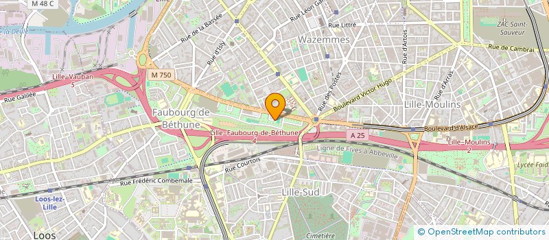 localisation de l'entreprise MONSIEUR YANISSE KHENIFSA  LILLE