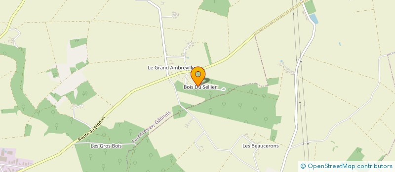localisation de l'entreprise MONSIEUR YANN BOUISSOU à FERRIERES-EN-GATINAIS
