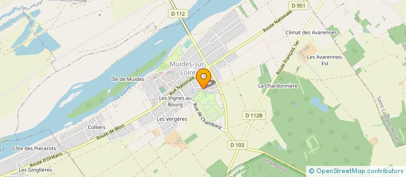 localisation de l'entreprise MONSIEUR YANN CELLIER  MUIDES-SUR-LOIRE