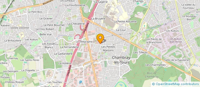 localisation de l'entreprise MONSIEUR YANN DALMARD  CHAMBRAY-LES-TOURS