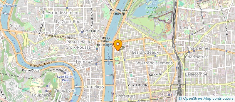 localisation de l'entreprise MONSIEUR YANN DAMEGO MANDEU à LYON