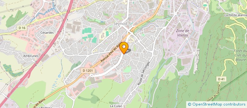 localisation de l'entreprise MONSIEUR YANN DE ALMEIDA à ANNECY