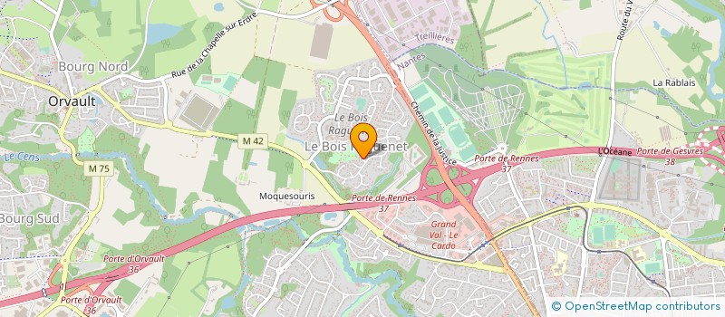 localisation de l'entreprise MONSIEUR YANN DE JUNNEMANN à ORVAULT