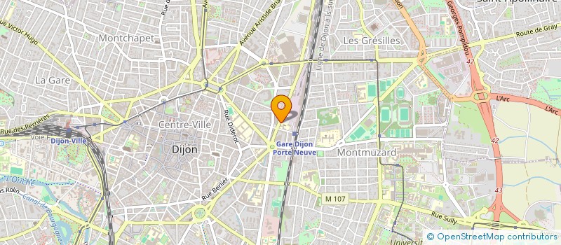 localisation de l'entreprise MONSIEUR YANN DE LOUISE à DIJON