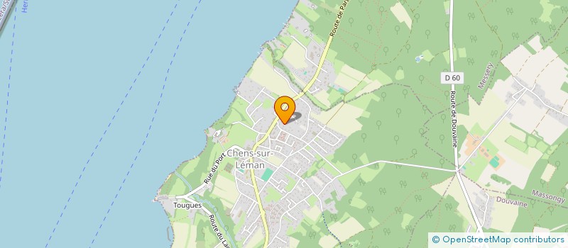 localisation de l'entreprise MONSIEUR YANN DECHATRETTE  CHENS-SUR-LEMAN