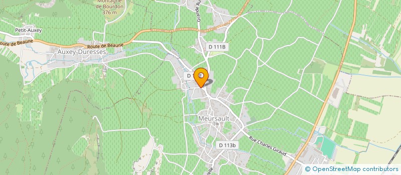 localisation de l'entreprise MONSIEUR YANN DEMOUGEOT à MEURSAULT