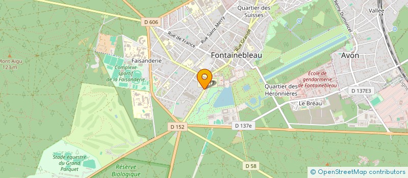 localisation de l'entreprise MONSIEUR YANN FRANCIOLI  FONTAINEBLEAU