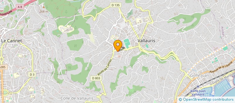 localisation de l'entreprise MONSIEUR YANN GIRARDIN à VALLAURIS