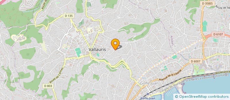 localisation de l'entreprise MONSIEUR YANN GIRAUD à VALLAURIS