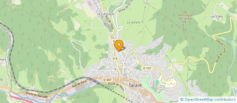 localisation de l'entreprise MONSIEUR YANN HOAREAU  TARARE