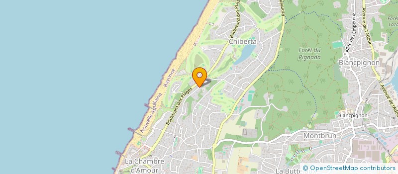 localisation de l'entreprise MONSIEUR YANN LAFOREST  ANGLET