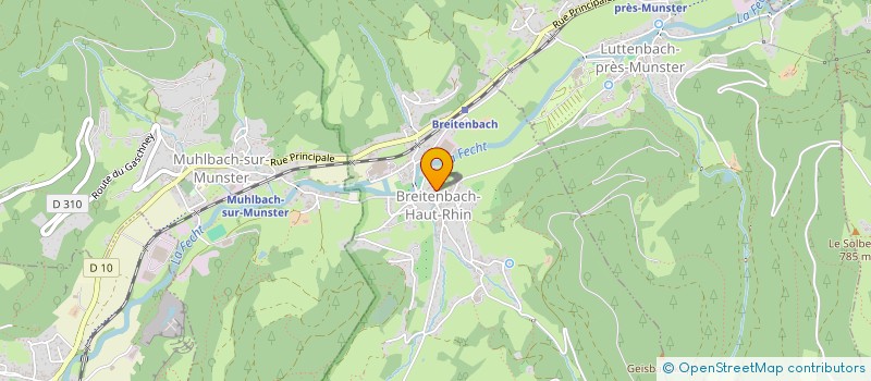 localisation de l'entreprise MONSIEUR YANN LE COGUIC  BREITENBACH-HAUT-RHIN